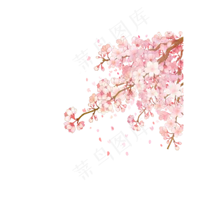 毕业季粉色樱花花边素材,免抠元素