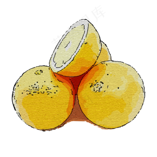 水彩风格柑橘水果元素