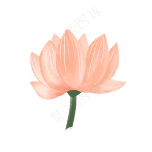 彩色荷花花朵元素