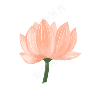 彩色荷花花朵元素