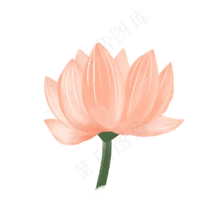 彩色荷花花朵元素