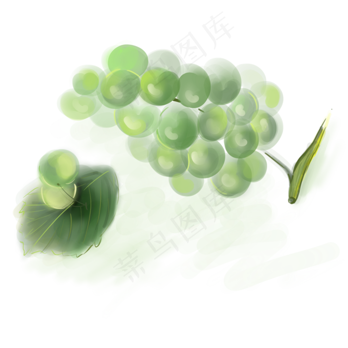 水粉绿色的葡萄(2000X2000(DPI:300))psd模版下载