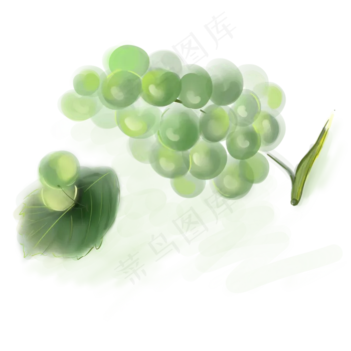 水粉绿色的葡萄