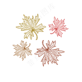 手绘边框绿植装饰纹理脉络