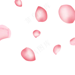 花瓣粉色玫瑰花瓣