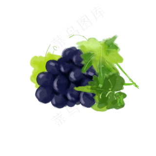 水彩小清新水果葡萄