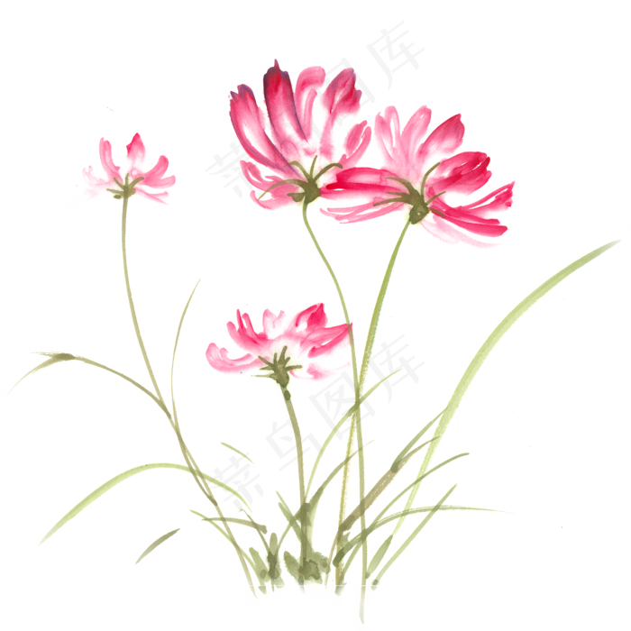 摇曳的格桑花水墨画