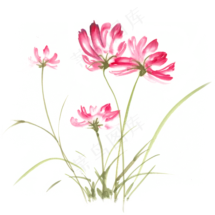 摇曳的格桑花水墨画(4724X4724(DPI:300))psd模版下载