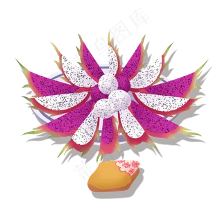 热带水果大自然美食