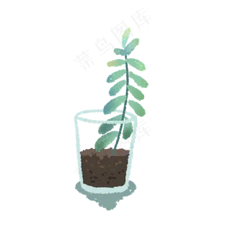 玻璃杯里生长的多肉植物,免抠元素