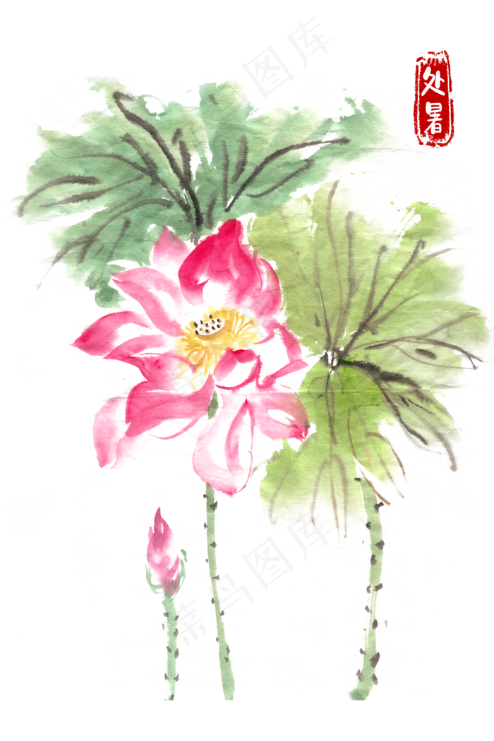 处暑娇艳的荷花(4724X7087(DPI:300))psd模版下载