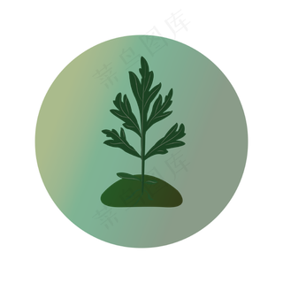 端午节艾草装饰图