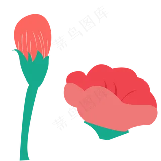 花朵绿色春季植物