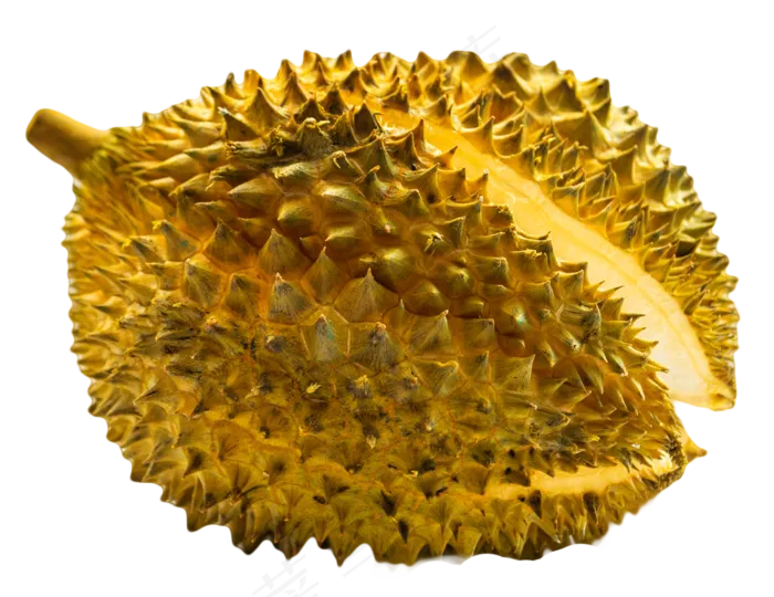 水果榴莲(1277X985(DPI:300))psd模版下载