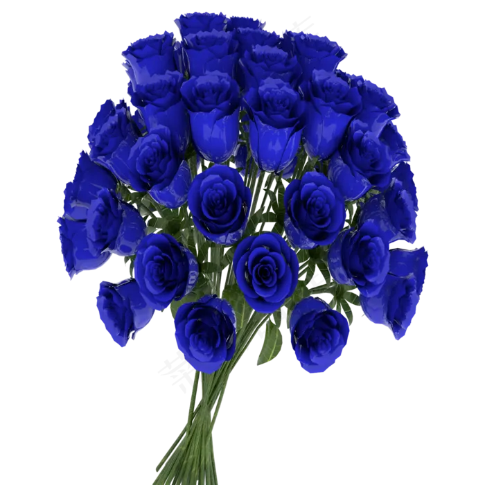 蓝色妖姬玫瑰(2000X2000(DPI:300))psd模版下载