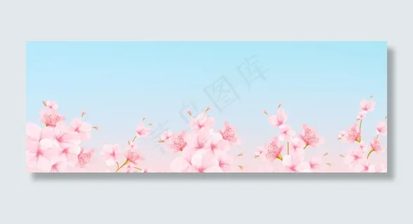 新春上新樱花banner