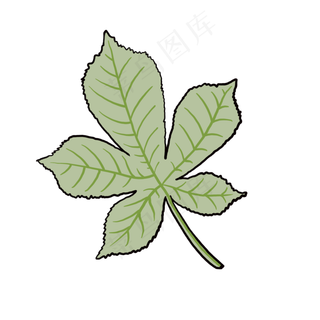一片绿色叶子创意插图
