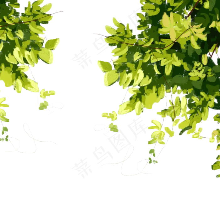 春天的绿叶,免抠元素(2000X2000(DPI:300))psd模版下载