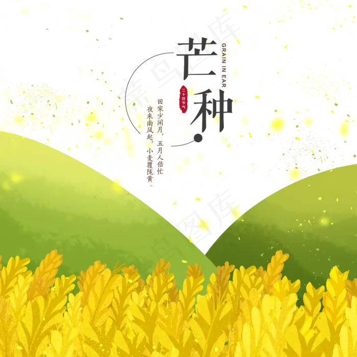 芒种节气青山稻田(2000X2000(DPI:300))psd模版下载