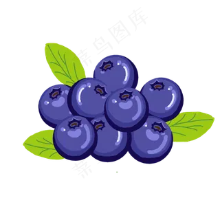 水果蓝色蓝莓