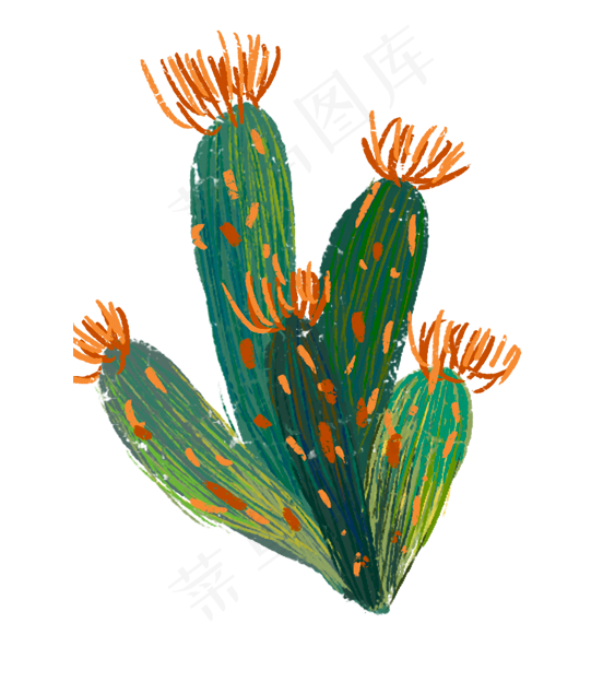 手绘涂鸦黄花仙人掌热带植物免扣,免抠元素