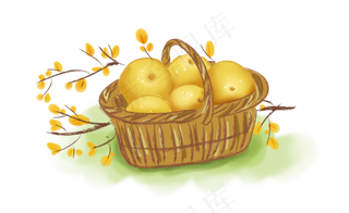 立秋丰收一篮子梨子