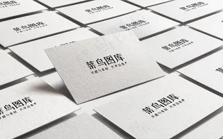 高挡名片样机模板