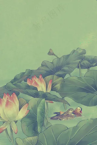 复古国画中国风夏季鸳鸯荷花风景