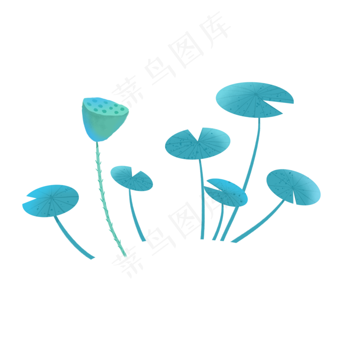 绿色的荷叶和莲藕