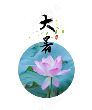 24节气大暑莲花