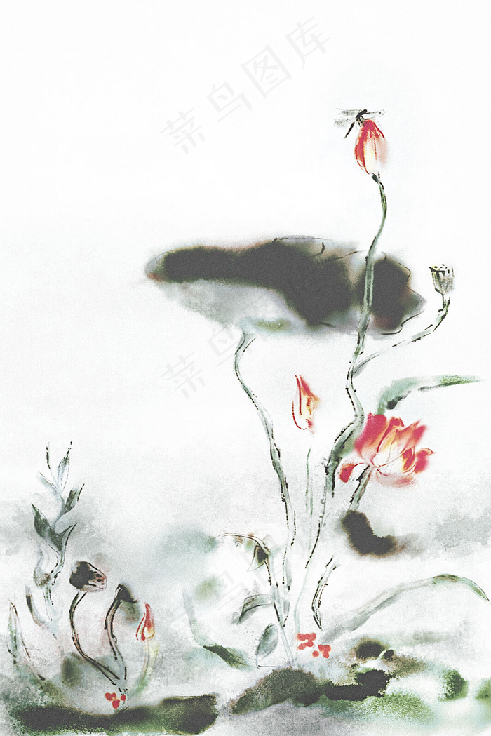 中国风古风水墨荷花蜻蜓夏天立夏风景