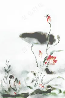 中国风古风水墨荷花蜻蜓夏天立夏风景