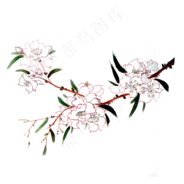 国画水墨桃花樱花PNG工笔春天,免抠元素(3000X3000(DPI:300))psd模版下载