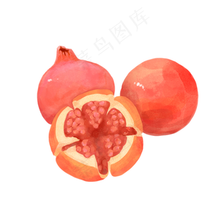 水果红色水彩写实石榴png
