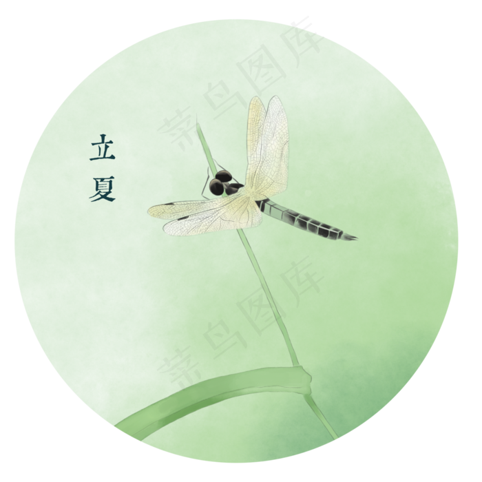 二十四节气立夏清新蜻蜓素材(3000X3000(DPI:300))psd模版下载