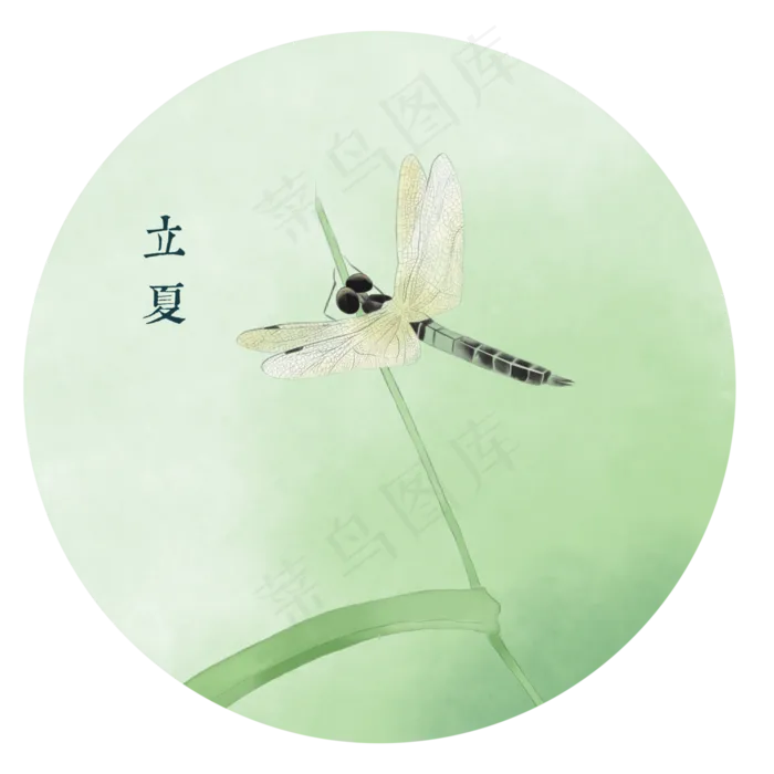 二十四节气立夏清新蜻蜓素材