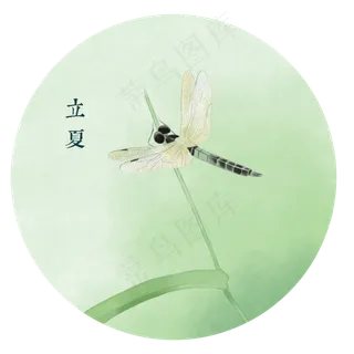 二十四节气立夏清新蜻蜓素材