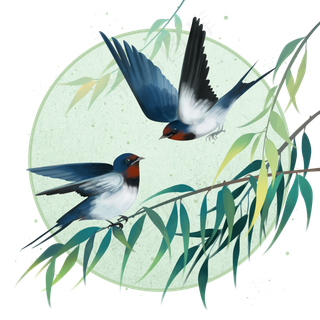 春天枝头上的燕子,免抠元素