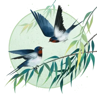 春天枝头上的燕子,免抠元素