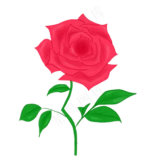 唯美的手绘爱情玫瑰花