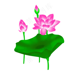 免扣卡通荷花粉色