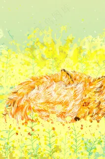 暖色调油菜花节狐狸在油菜花海中嬉戏配图