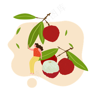 夏至吃荔枝的女孩