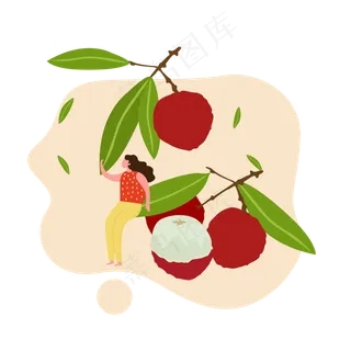 夏至吃荔枝的女孩