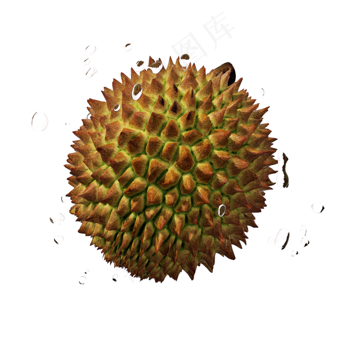 精致榴莲png图