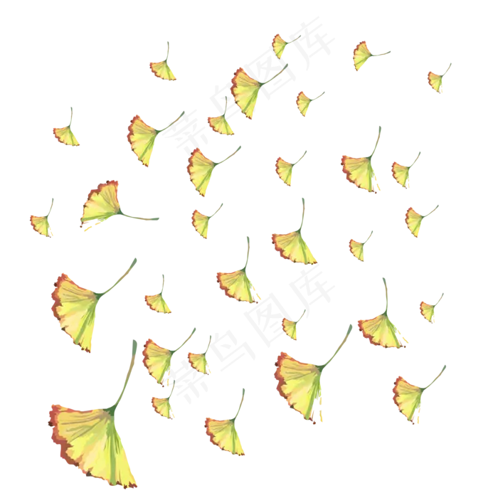 手绘植物漂浮树叶黄绿银杏叶(2000X2000(DPI:300))ai矢量模版下载