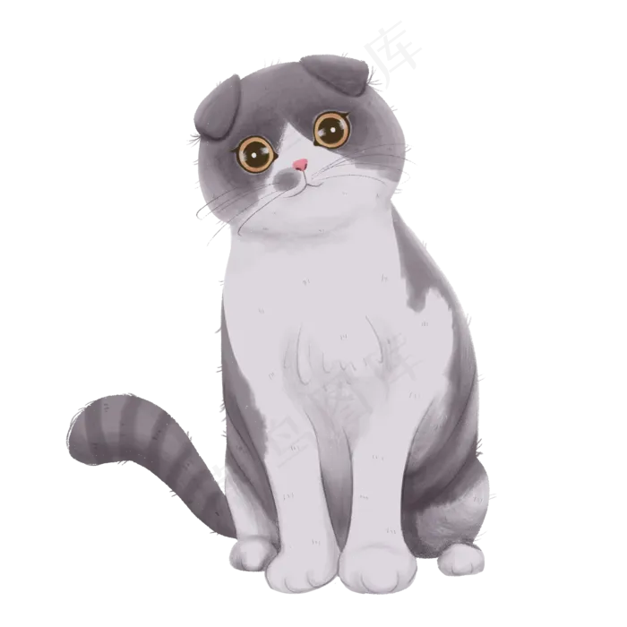 仿真猫咪可爱纯种PNG萌宠物,免抠元素(2000*2000px 300 dpi )psd模版下载