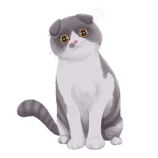 仿真猫咪可爱纯种PNG萌宠物,免抠元素