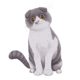 仿真猫咪可爱纯种PNG萌宠物,免抠元素