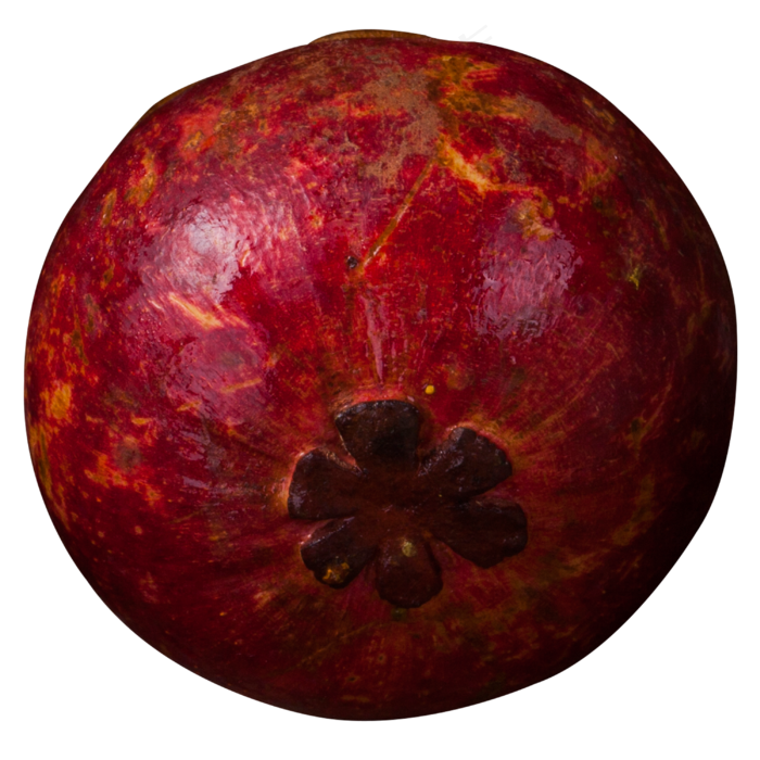 实拍果林果树水果果实